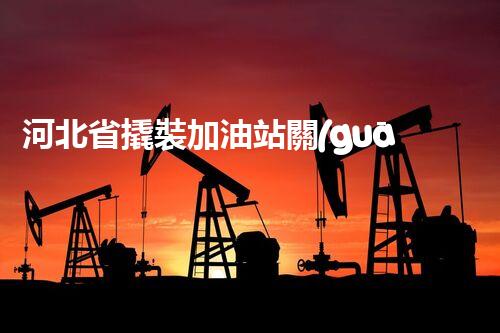 河北省撬裝加油站關(guān)鍵技術(shù)突破！化工廠拆除工程的新方法探索？